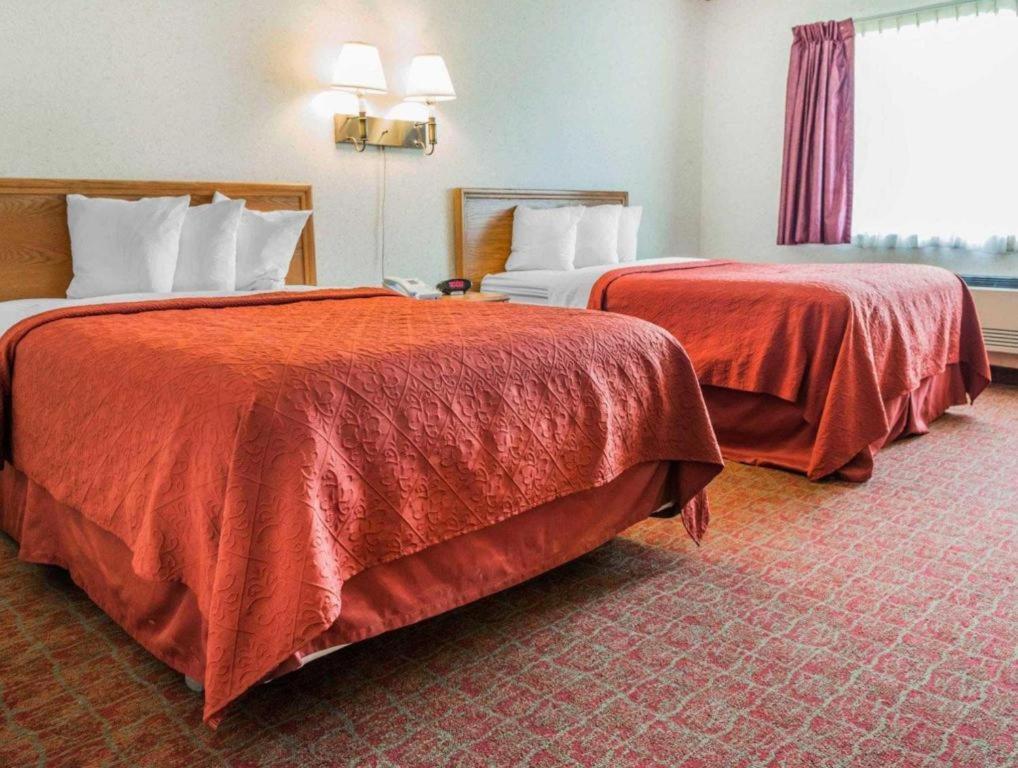 Quality Royle Hotel 2*